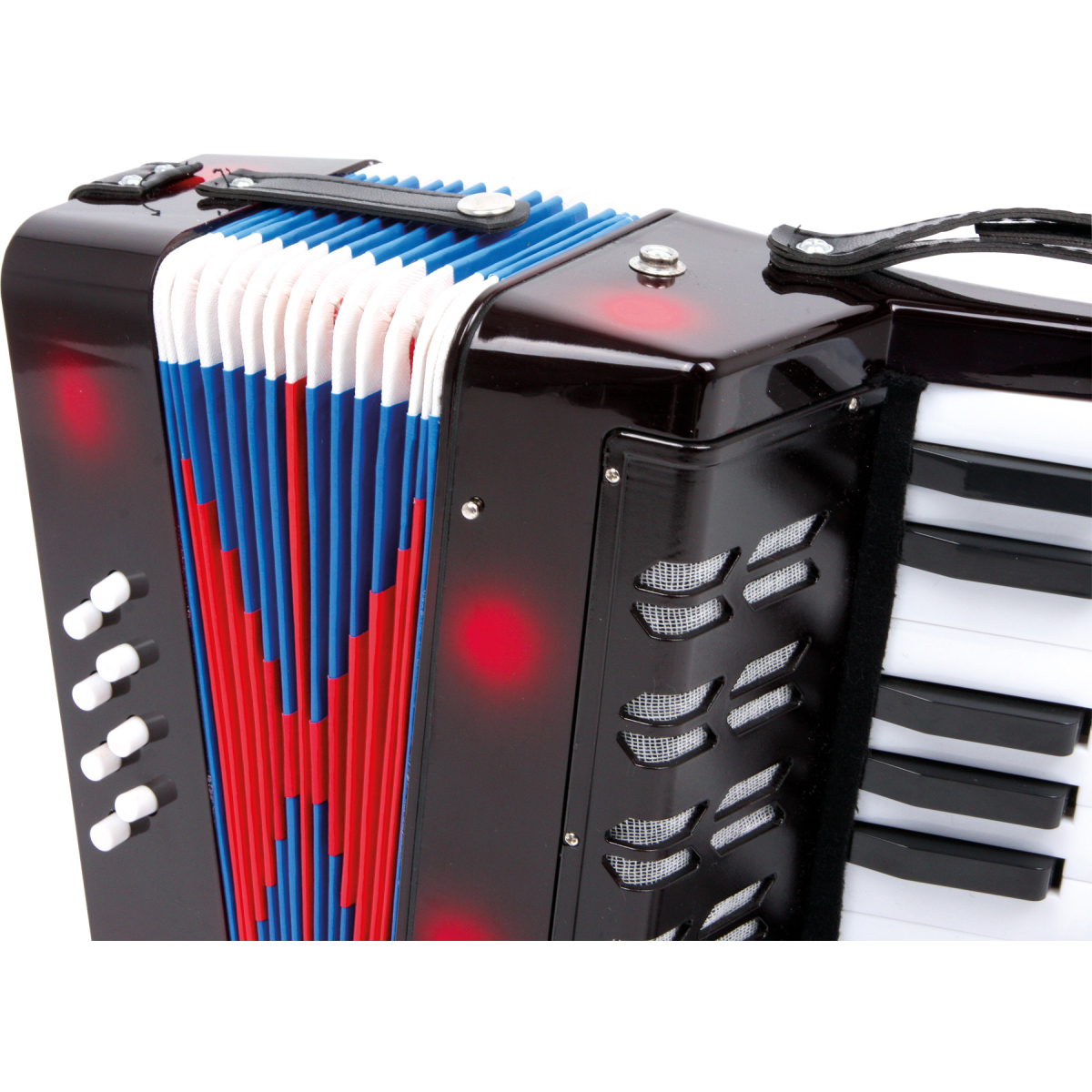 3304_akkordion_classic_b Accordion Classic