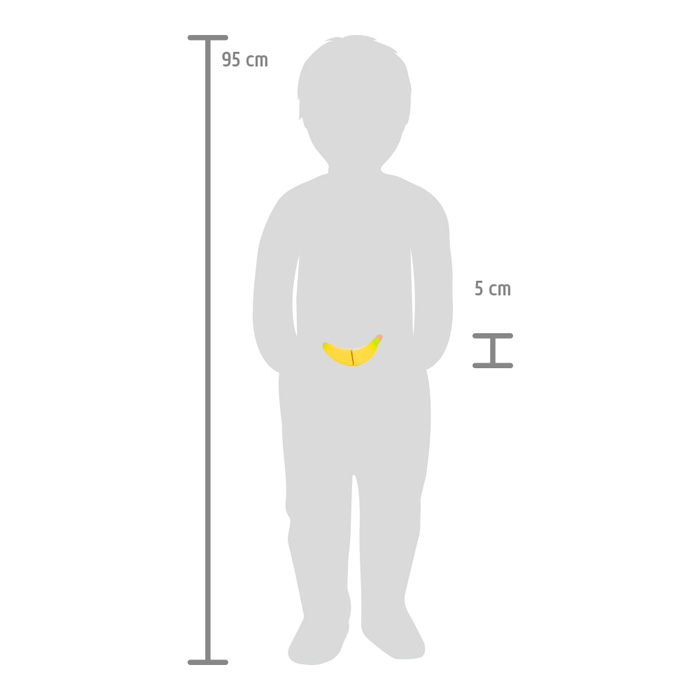 Cuttable Lunch Set „fresh“