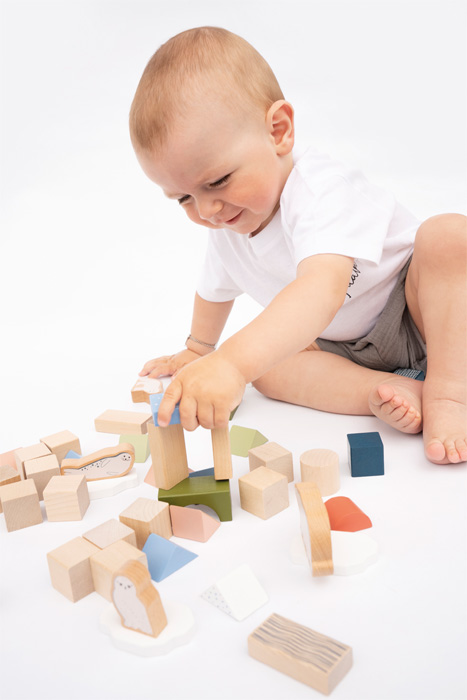 Wooden Building Blocks "Arctic"