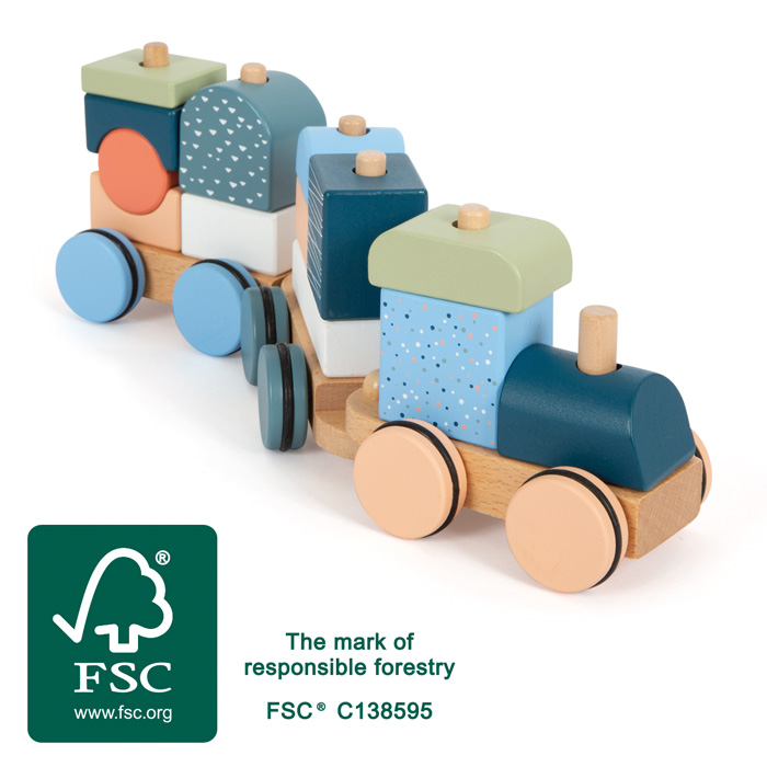 Wooden Train "Arctic"