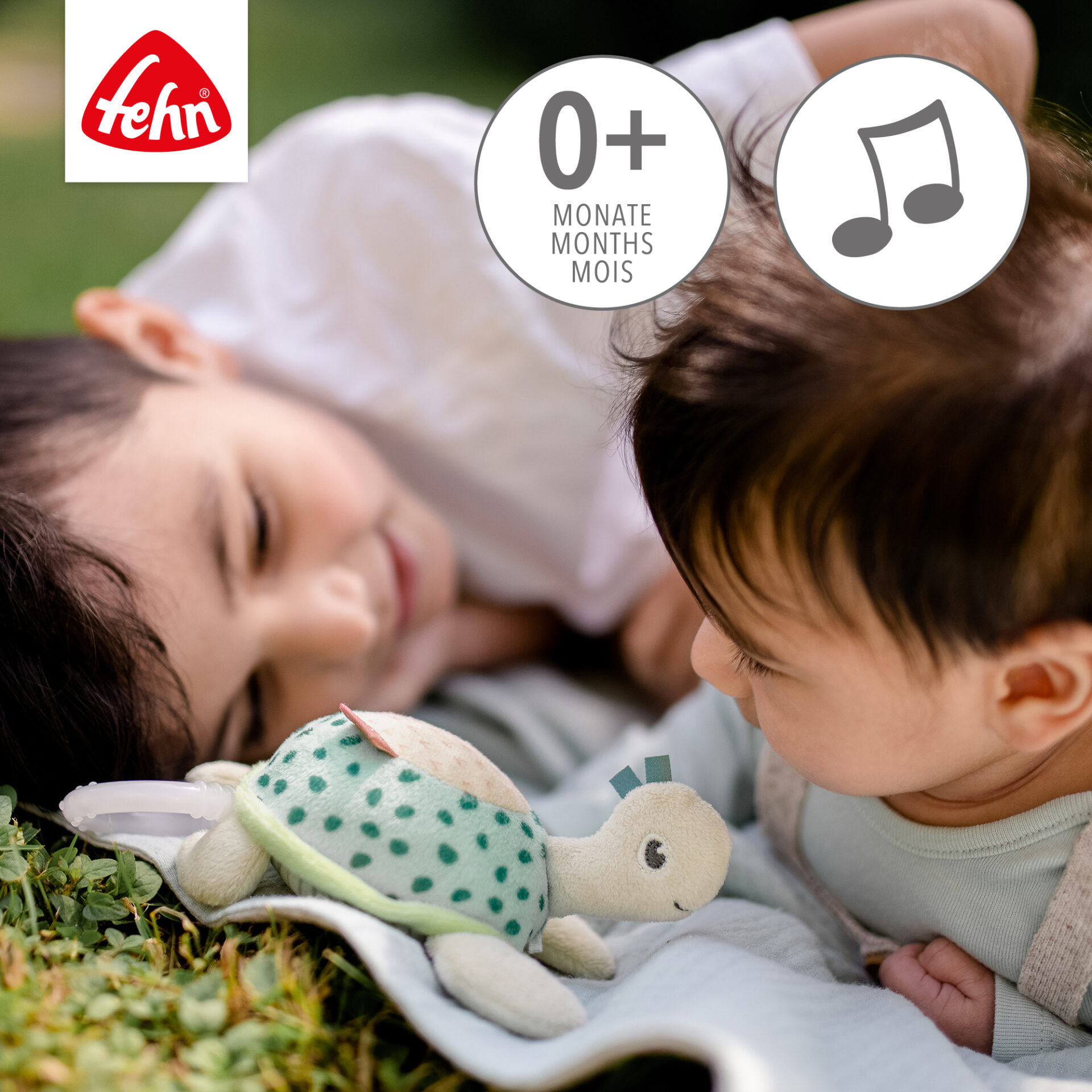 Mini musical turtle