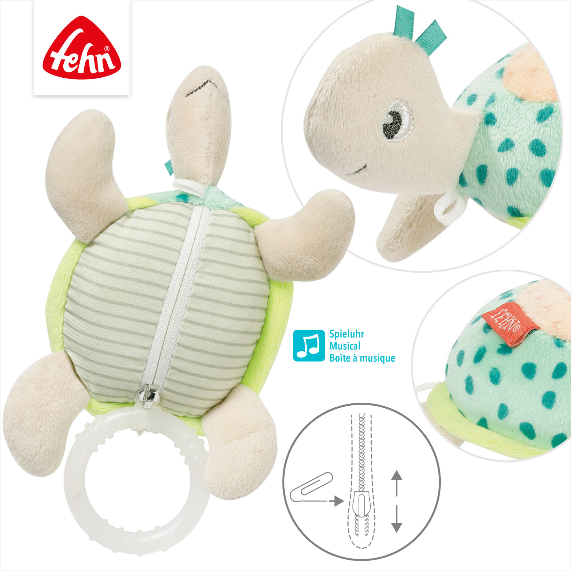 Mini musical turtle