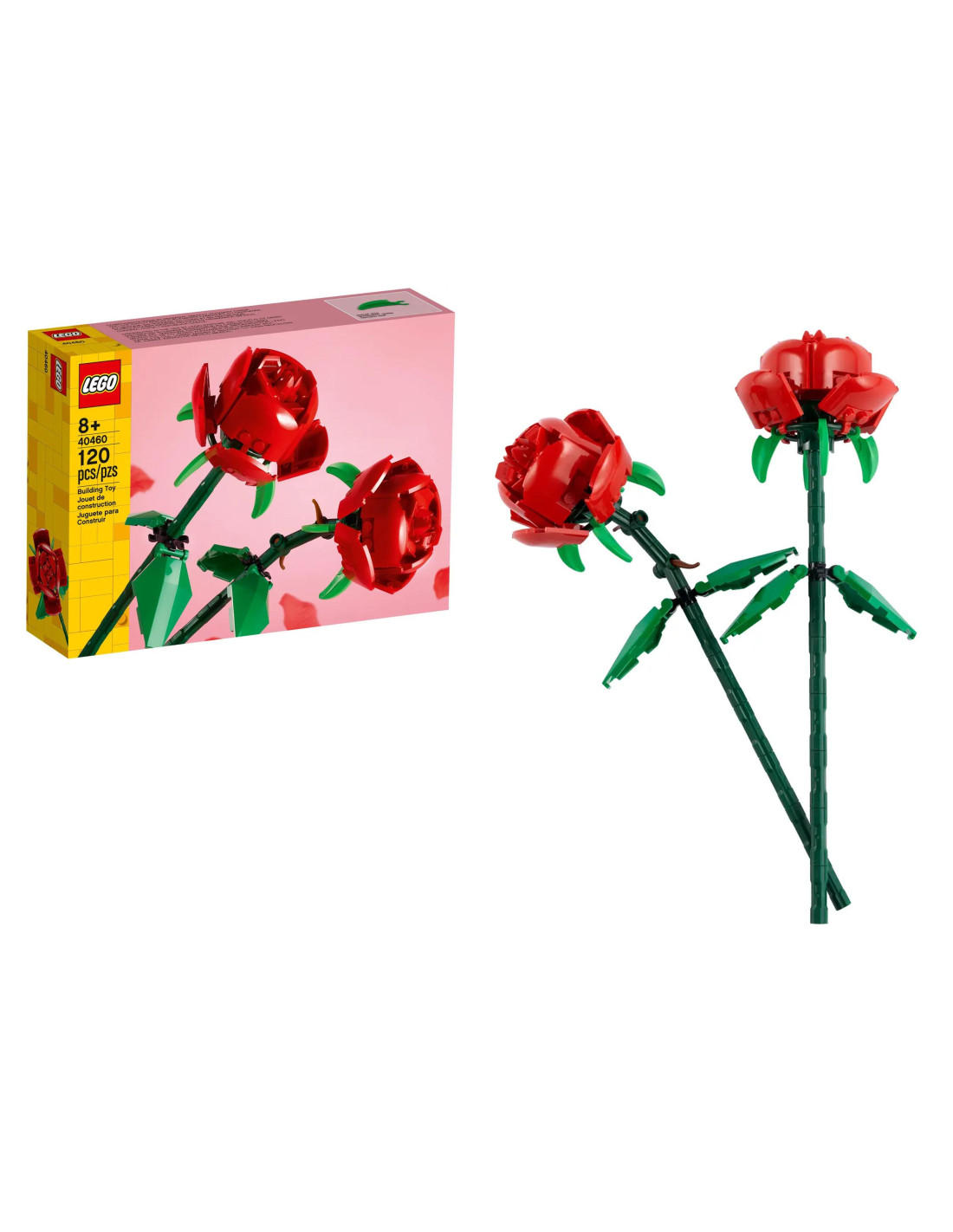 LEG40460 Botanical Rose