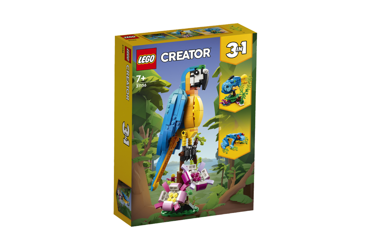 Creator Pappagallo esotico