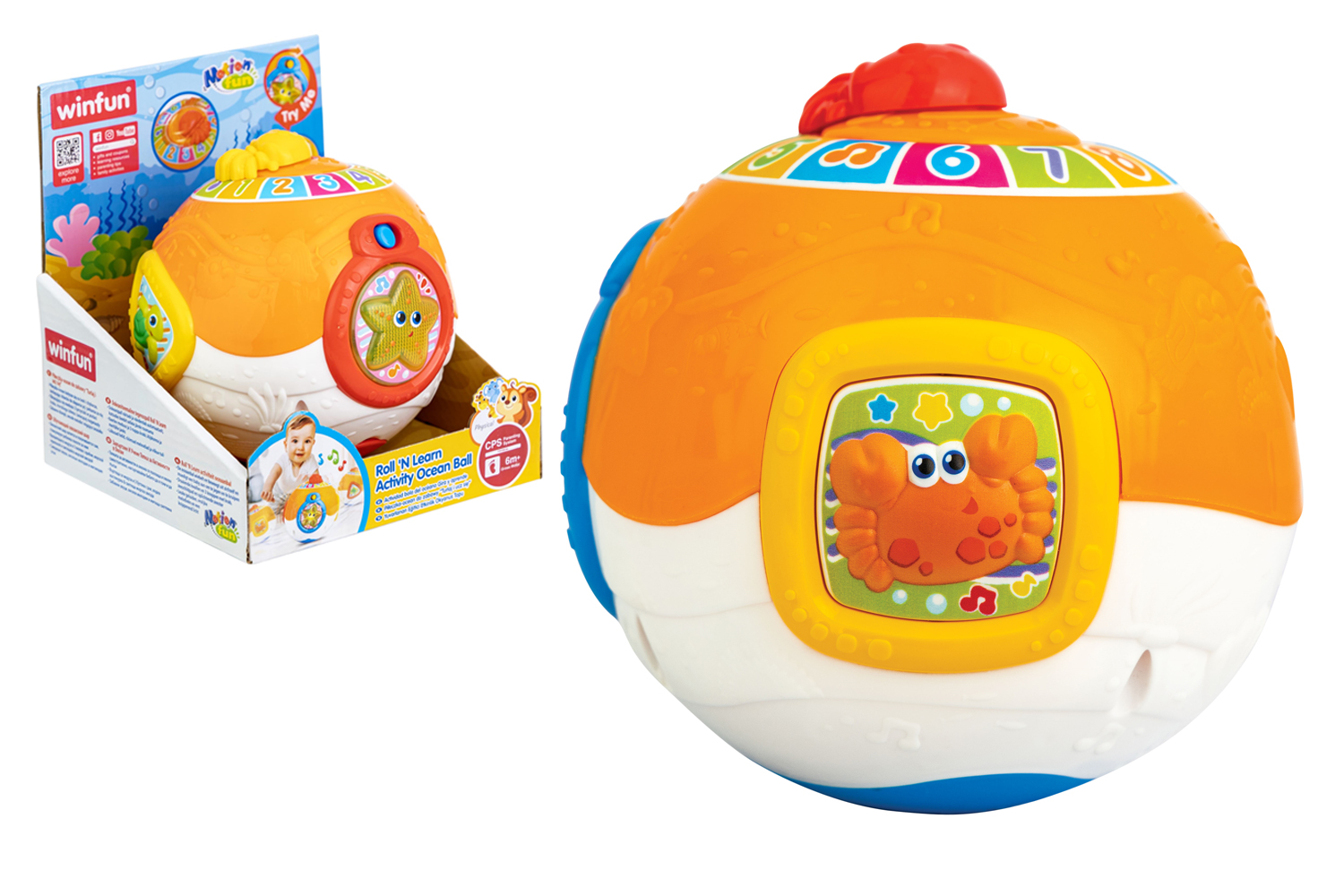 WNF230601 Palla Amici del Mare Rotola e Impara